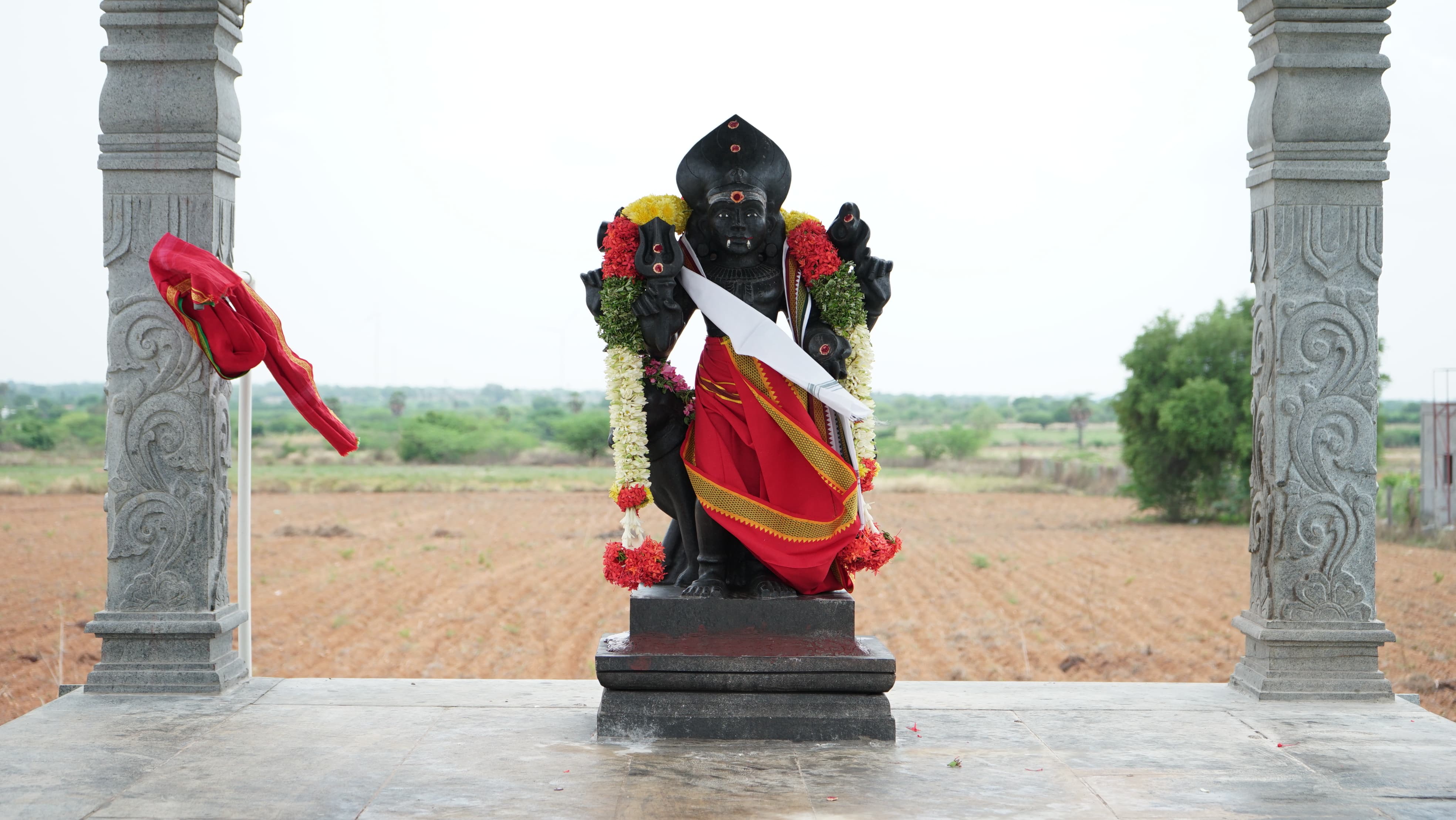 Utsava Vigraha - Procession Deity Darshan